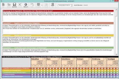 Die Strukturierte Informationssammlung (SIS) in der Pflege