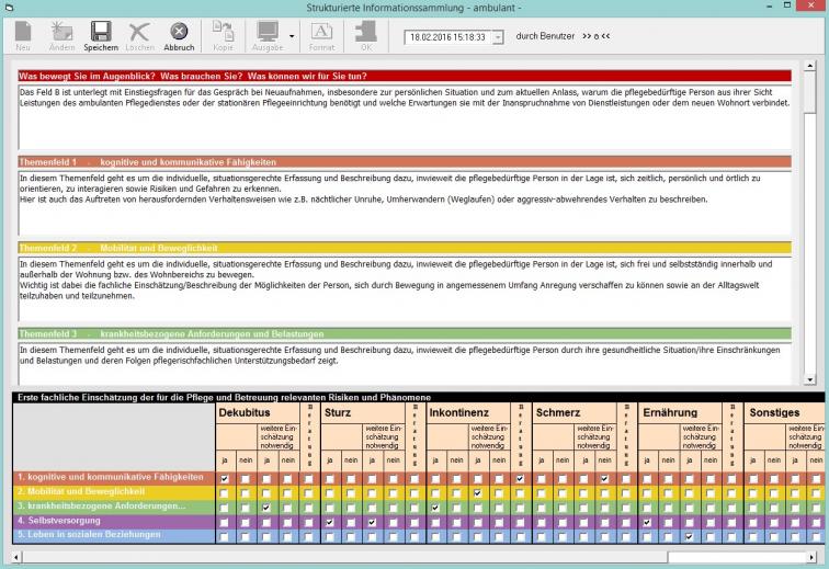 Die Strukturierte Informationssammlung (SIS) in der Pflege