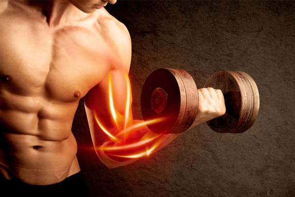 Effektives Anfänger-Workout für Muskelaufbau